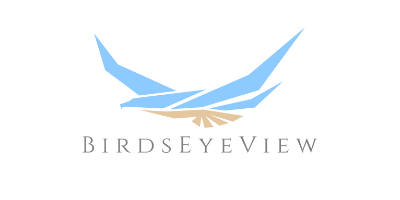Birdseyeview-logo